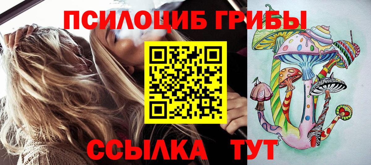 Галлюциногенные грибы Psilocybine cubensis  Галлюциногенные грибы Psilocybine cubensis  Вход с VPN  Кубинка 
