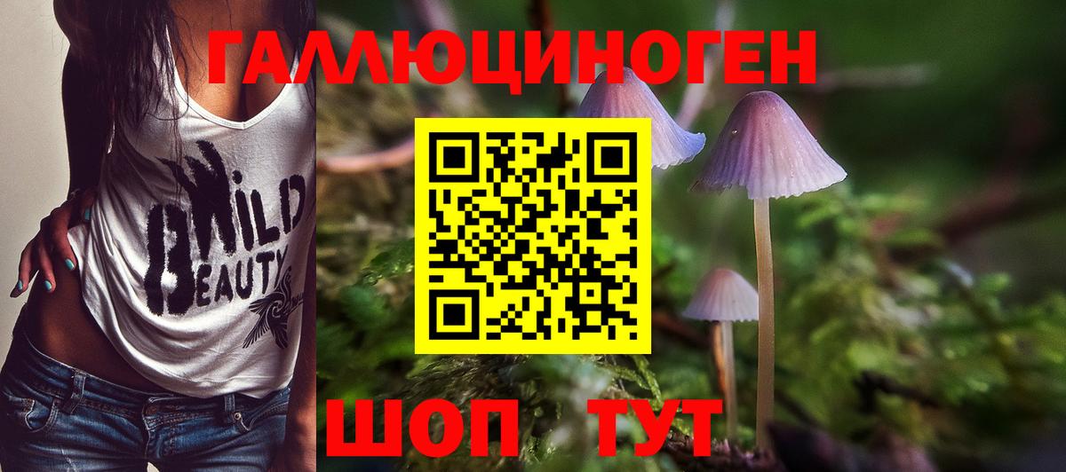 Псилоцибиновые грибы прущие грибы Кубинка